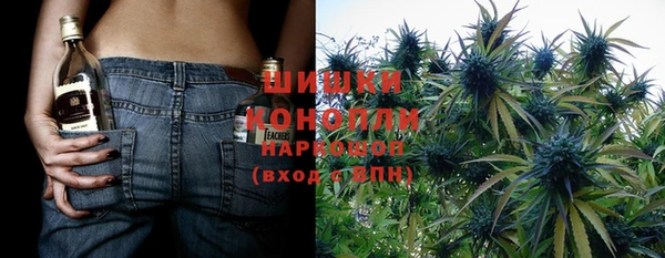 эйфоретик Алзамай