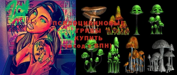 spice Алексеевка
